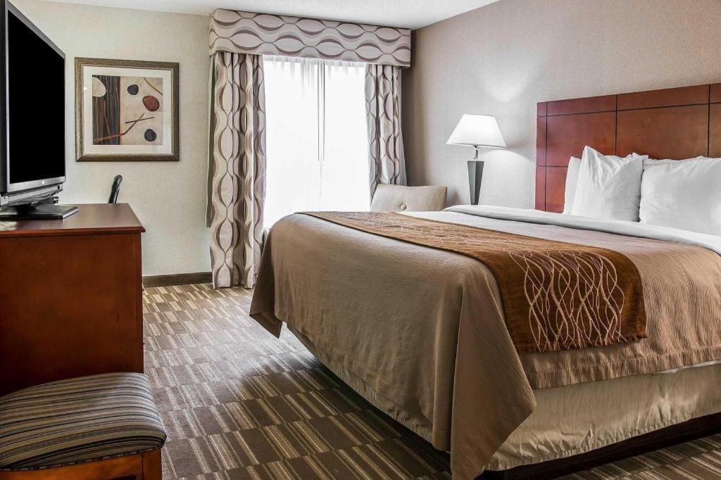 Comfort Inn & Suites University South Ann Arbor Luaran gambar