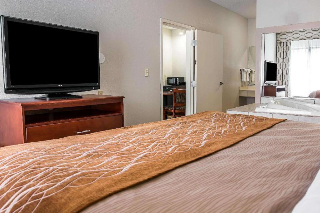 Comfort Inn & Suites University South Ann Arbor Luaran gambar