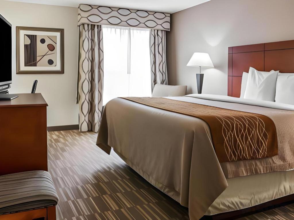 Comfort Inn & Suites University South Ann Arbor Luaran gambar