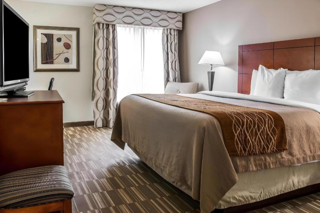 Comfort Inn & Suites University South Ann Arbor Luaran gambar