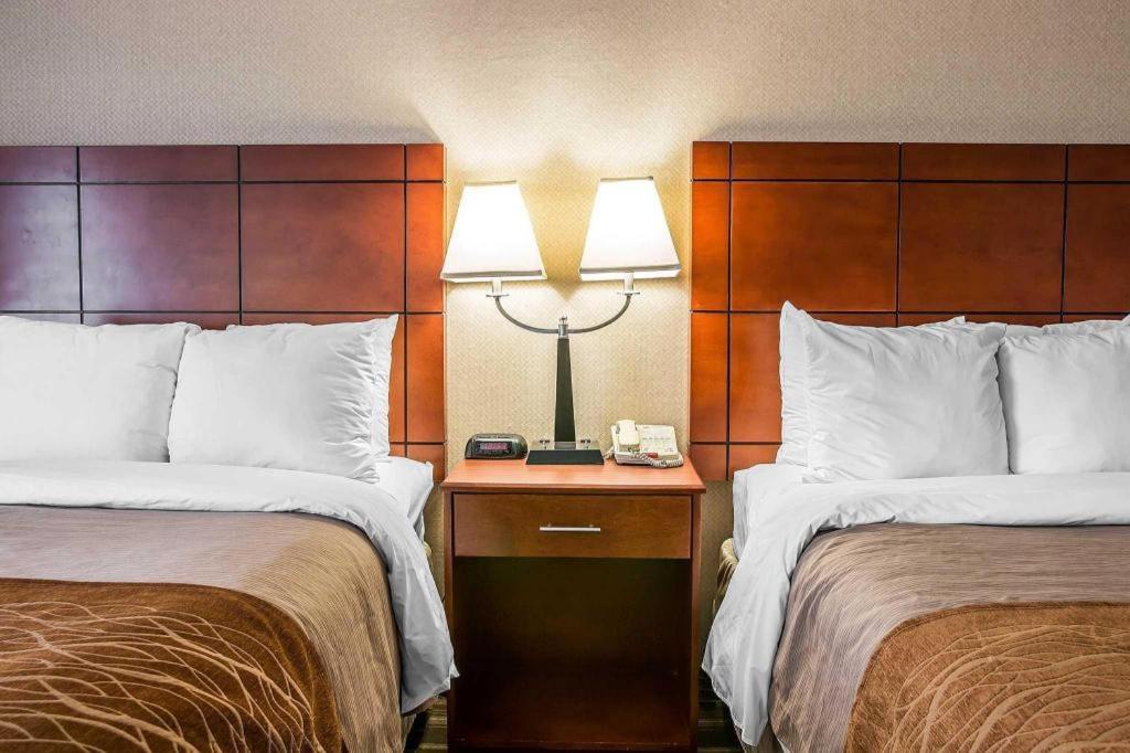Comfort Inn & Suites University South Ann Arbor Luaran gambar