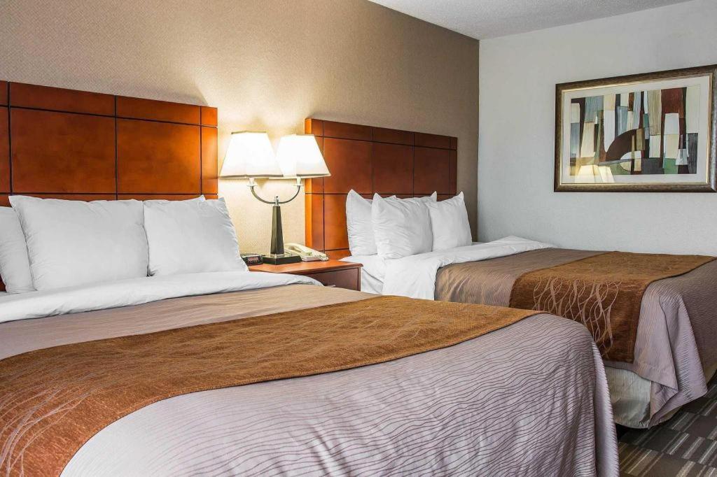 Comfort Inn & Suites University South Ann Arbor Luaran gambar