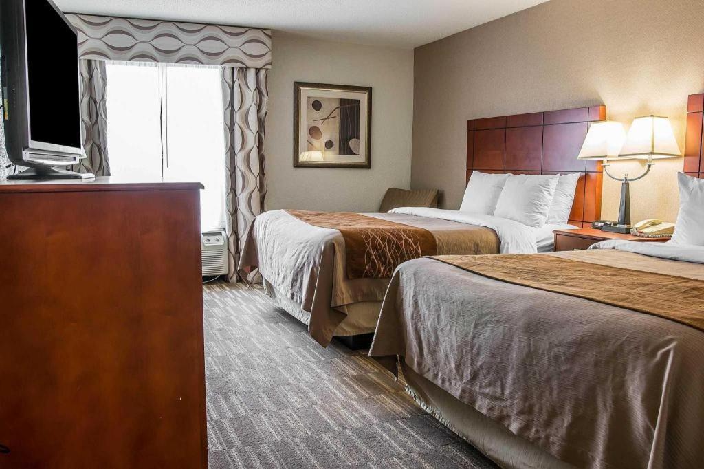 Comfort Inn & Suites University South Ann Arbor Luaran gambar