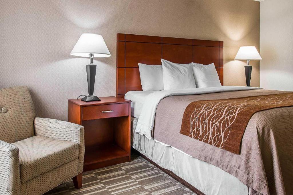 Comfort Inn & Suites University South Ann Arbor Luaran gambar