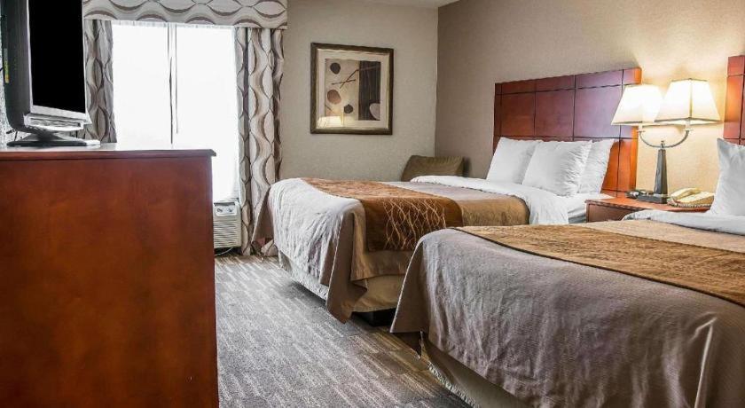 Comfort Inn & Suites University South Ann Arbor Luaran gambar