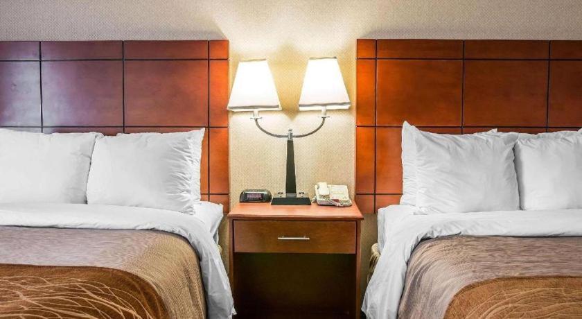 Comfort Inn & Suites University South Ann Arbor Luaran gambar