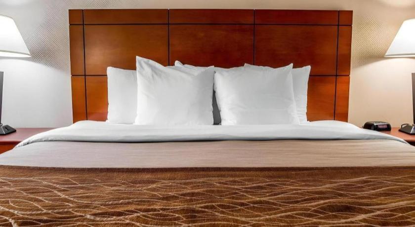 Comfort Inn & Suites University South Ann Arbor Luaran gambar