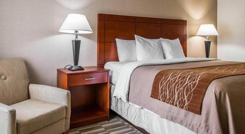 Comfort Inn & Suites University South Ann Arbor Luaran gambar