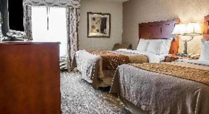 Comfort Inn & Suites University South Ann Arbor Luaran gambar