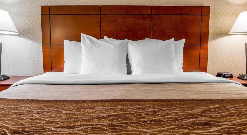 Comfort Inn & Suites University South Ann Arbor Luaran gambar