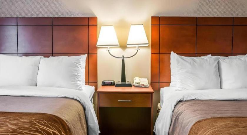 Comfort Inn & Suites University South Ann Arbor Luaran gambar